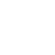 Solution Icon
